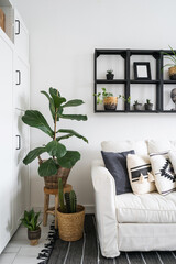 houseplants and sofa with cushions in living room with bohemian interior
