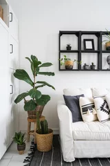 Fotobehang Boho houseplants and sofa with cushions in living room with bohemian interior  © brizmaker