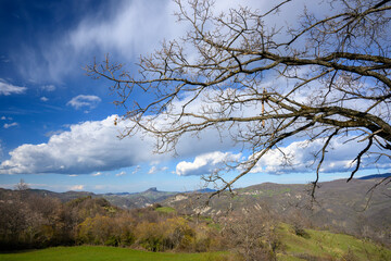 Appennino Tosco Emiliano |   Mab Unesco