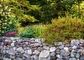 Rock wall with beautiful flowers in Maine