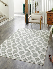 modern interior room rug