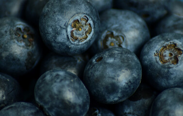 blueberries background