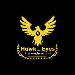 hawk eyes eagle logo, vintage and business logo design.