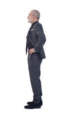 side view of a man standing  with suit and tie and arms akimbo on white background