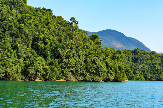 Ilha da Cotia, Paraty