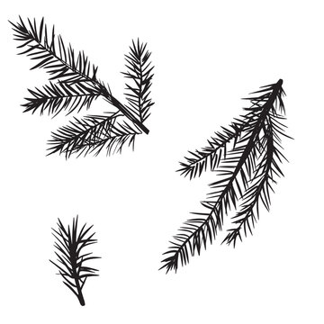 Spruce branch isolated on white background. Graphic Christmas tree. Vector illustration for Xmas cards, New year party posters.