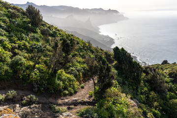 un chemin de randonnée sur le littoral d'une 
ile des Canaries