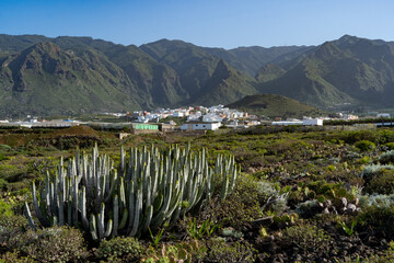 Un cactus en premier plan et un village de maisons blanches niché au pied des montagnes des Canaries