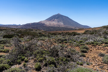 vue sur un volcan et un sol couvert de végétation sur une terre ocre