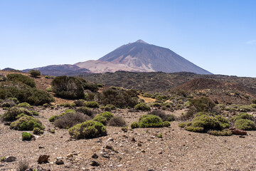 un désert avec quelques touffes de végétation et un volcan en arrière plan