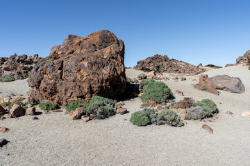 les rochers et plantes d'un désert volcanique