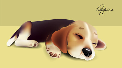 Sleeping cute puppy. 