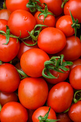 Fresh red cherry tomatoes in a wooden vintage box