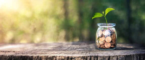 Plant Growing Out Of Coin Jar On Wooden Table With Green Nature Background - Investing And Business Success Concept