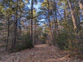 New England Nature in Spring