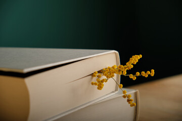 A beautiful bookmark made of bright spring twigs of yellow mimosa in a large light book, on a wooden table against a dark green wall. Selective focus. Beauty is in the details, love of reading