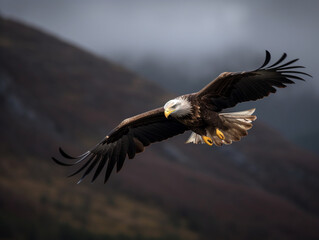 Obraz premium Eagle, Bird flying gracefully isolated blurred background of mountains - Generative AI