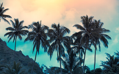 Obraz na płótnie Canvas palm trees and colorful sky 