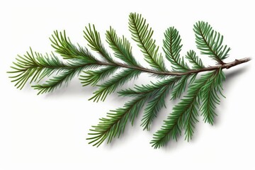 a cartoon branch of a fir tree, isolated on white. Generative AI