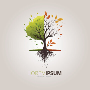 Vector illustration of Spring and Fall Tree logo on white background, Add company name.