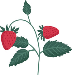 A drawing of a strawberry plant with green leaves