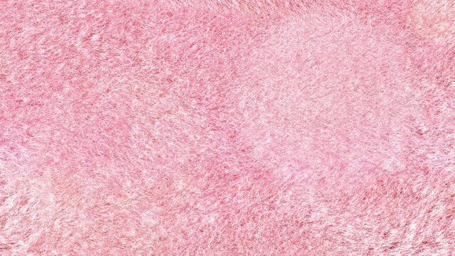 Glamorous pink fur seamless pattern. Texture of soft fluffy surface. 4k video with backdrop for romantic blog, love message, woman channel. Loop stock clip.