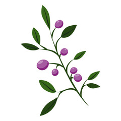 flower on white background Elements are isolated on a white background. Design for printing on cards, invitations