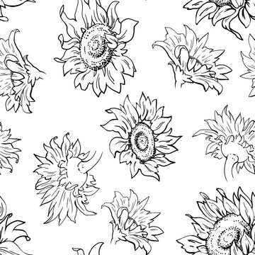 Seamless pattern with sunflower flowers. Graphics monochrome linear drawing. For printing on fabric, wrapping paper, website design. Freehand drawing.
