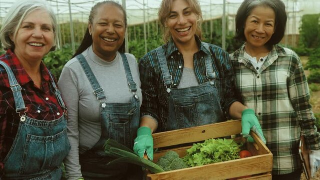 Happy multiracial women farmers working inside greenhouse - Farm people cooperative concept