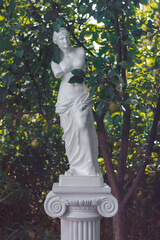 Venus statue sculpture in the park