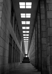 Follow the lights through a portico