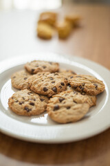 plate served with delicious homemade cookies decorated with chocolate chips, pastry in studio, sweet carbohydrate texture details
