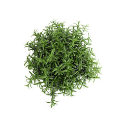 Artificial plant on white background