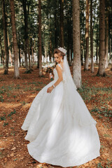 A beautiful young woman in a wedding dress between tall trees in the forest with a royal hairstyle...