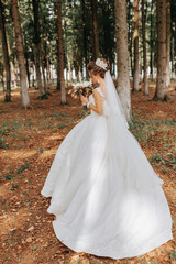 Fototapeta na wymiar A beautiful young woman in a wedding dress between tall trees in the forest with a royal hairstyle and a chic tiara with a bouquet of flowers in her hands, a wedding in golden color