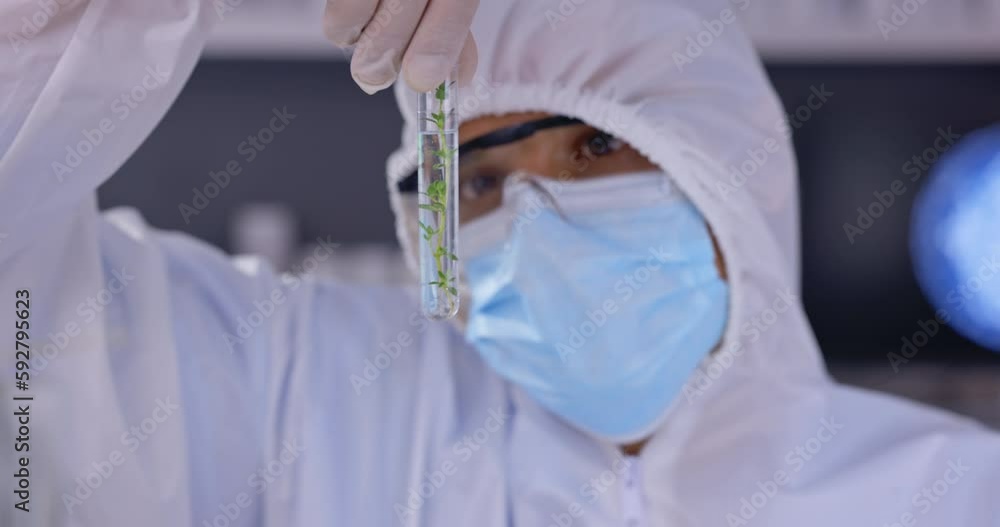 Poster Covid, mask and sample with an ecology scientist working in a laboratory for research or innovation. Science, medical or biology with a doctor closeup in a ppe uniform while in a lab for development