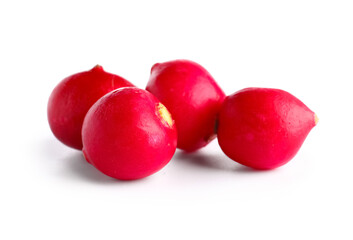 Fresh radish isolated on white background