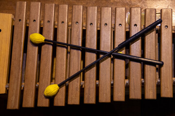 The wooden xylophone with two yellow wool drumsticks on top.