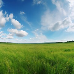 Fototapeta na wymiar green field and blue sky. generative ai