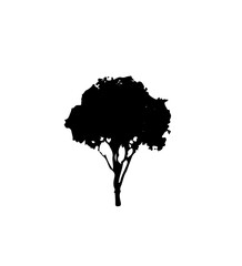 Tree_silhouette
