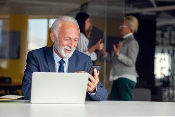 Fototapeta premium Mature businessman working on laptop. Handsome mature business leader sitting in a modern office