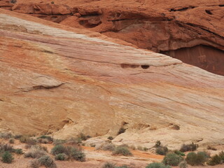 Red sandstone in Valley of Fire in Nevada