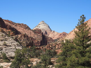 Fototapeta premium Toadstools in Utah desert