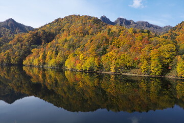 Fototapeta na wymiar 秋のさっぽろ湖に倒影する紅葉