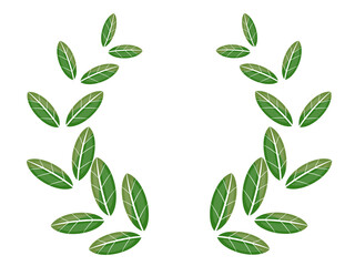 green laurel wreath 月桂樹イラスト素材