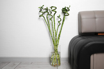 Vase with beautiful green bamboo stems near couch indoors. Space for text
