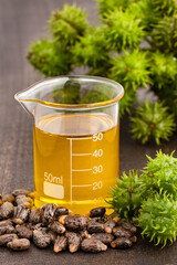 Ricinus communis seeds - Oil in laboratory container