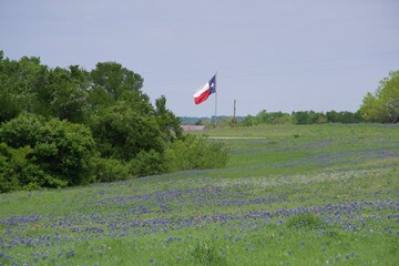 texas flag over bluebonnets