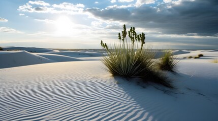 Sand dunes