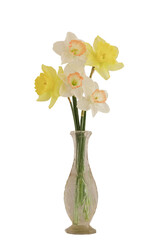 Bouquet of white and yellow daffodils in a vase isolated, cut out